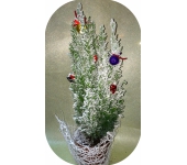 Новогодние композиции №009