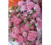 Кустовая роза (роз.).